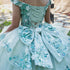 Enchanting Floral Details Quinceañera Ball Gown for Women, Sizes 4/XS-16/3X